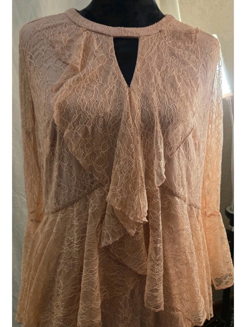 Isaac Mizrahi Rose Blush Chantilly Romantic Lace Ruffle Peplum Blouse Size 12